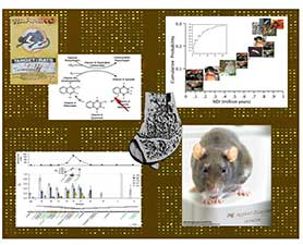 kohn research