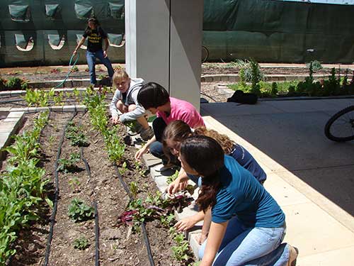 campus gardens