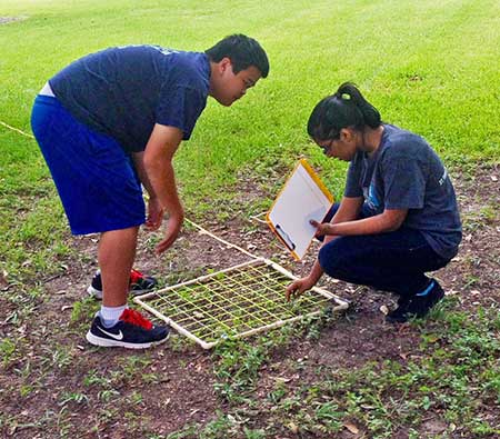 EEB Academy student learning about field research