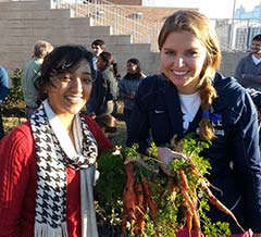 carrots harvested in EBIO204