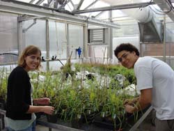 students working in the greenhouse